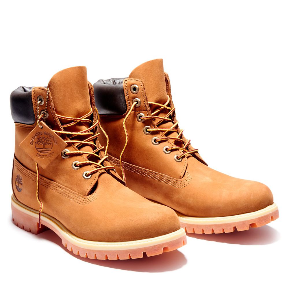 Bota Neve Masculino - Timberland 6-Inch Premium Impermeavel - PAMVH0876 - Marrom